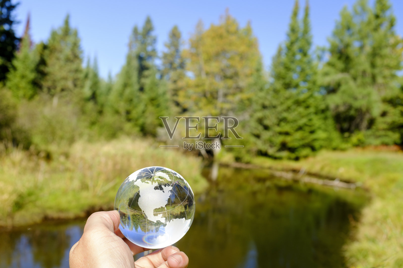 全球在自然界中照片摄影图片