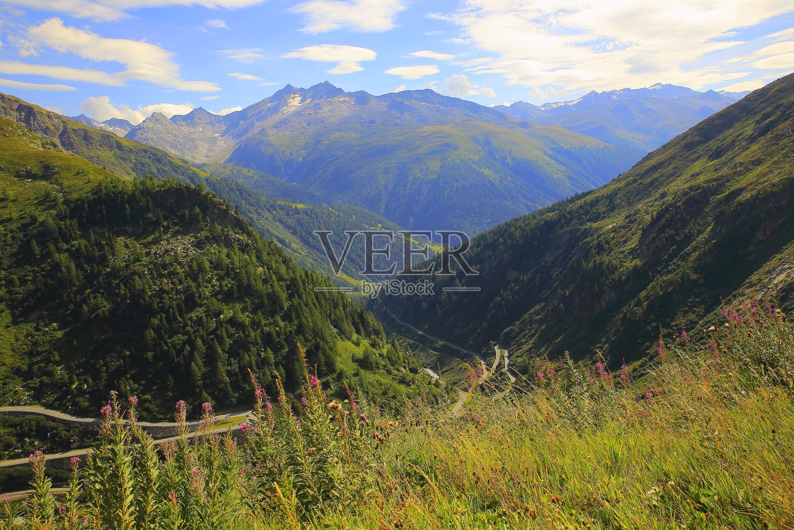 田园诗般的高山景观，从格里姆塞尔隘口，公路穿越瑞士阿尔卑斯山照片摄影图片