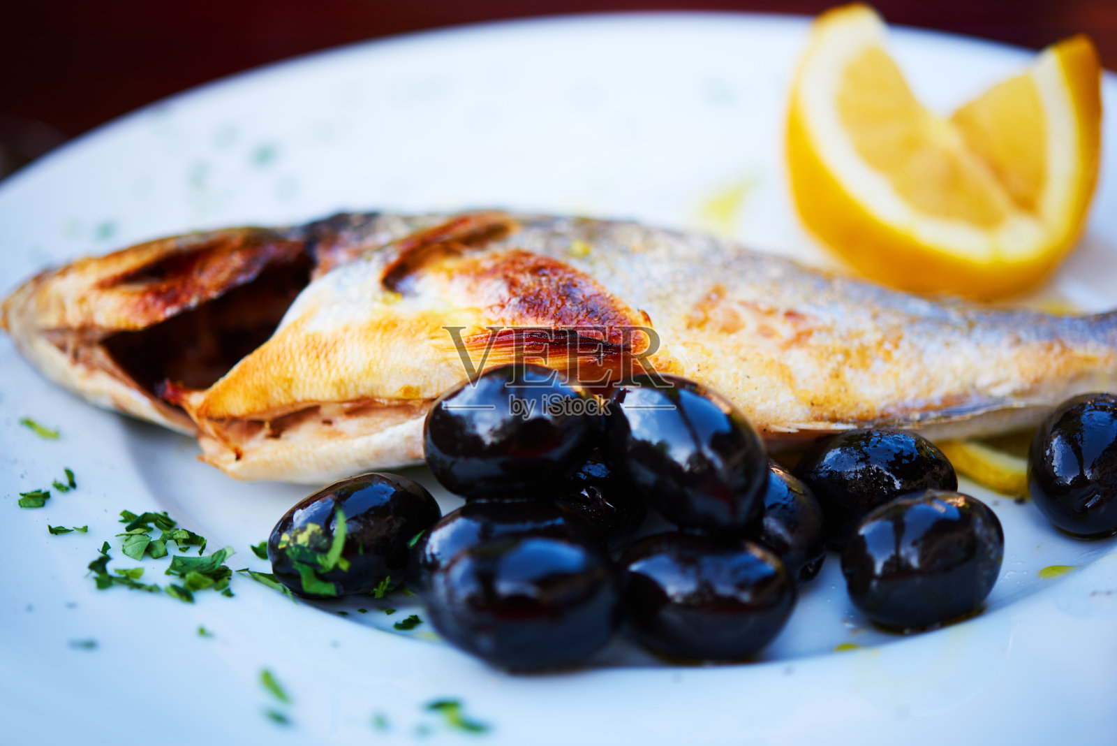 黑橄榄鲷鱼照片摄影图片