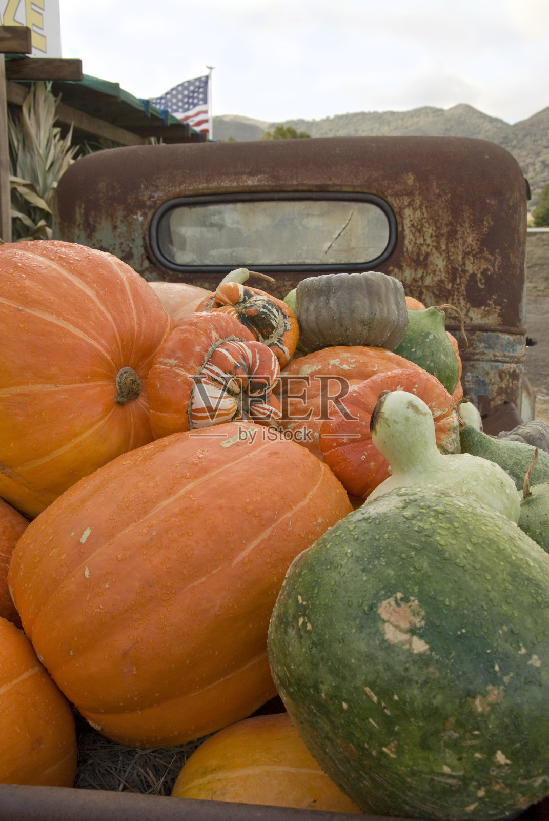 古董卡车床上的南瓜照片摄影图片