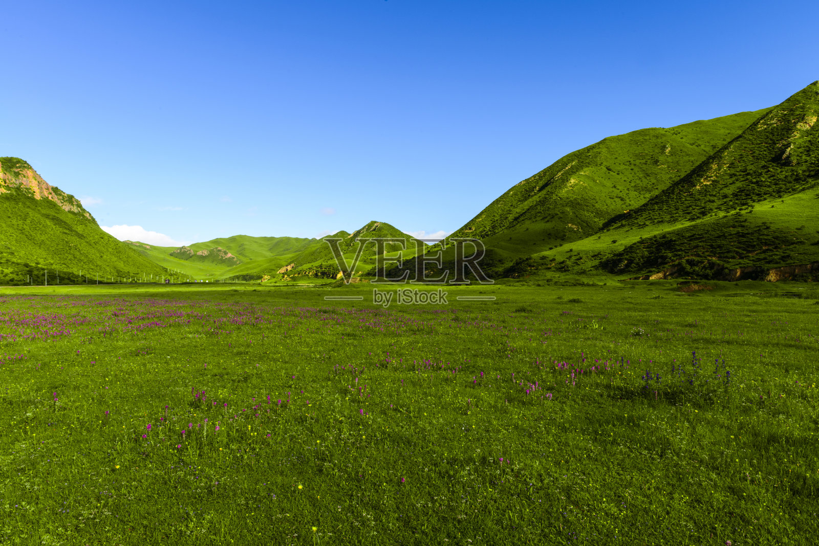 西藏的天际线、山丘和草地照片摄影图片
