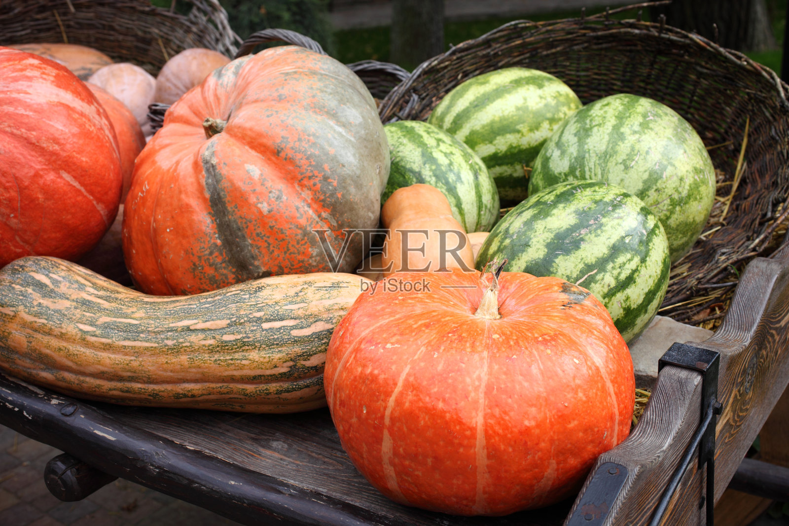 南瓜和西瓜照片摄影图片