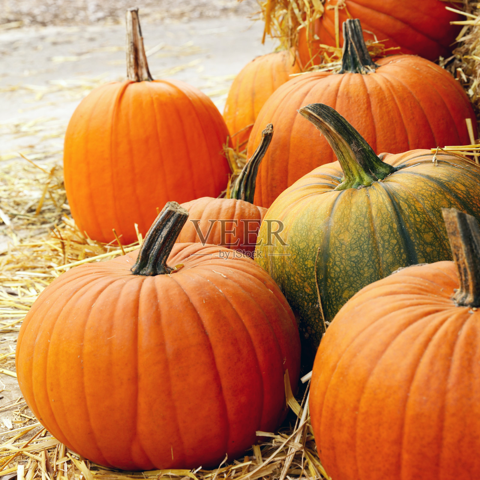 稻草上的南瓜照片摄影图片