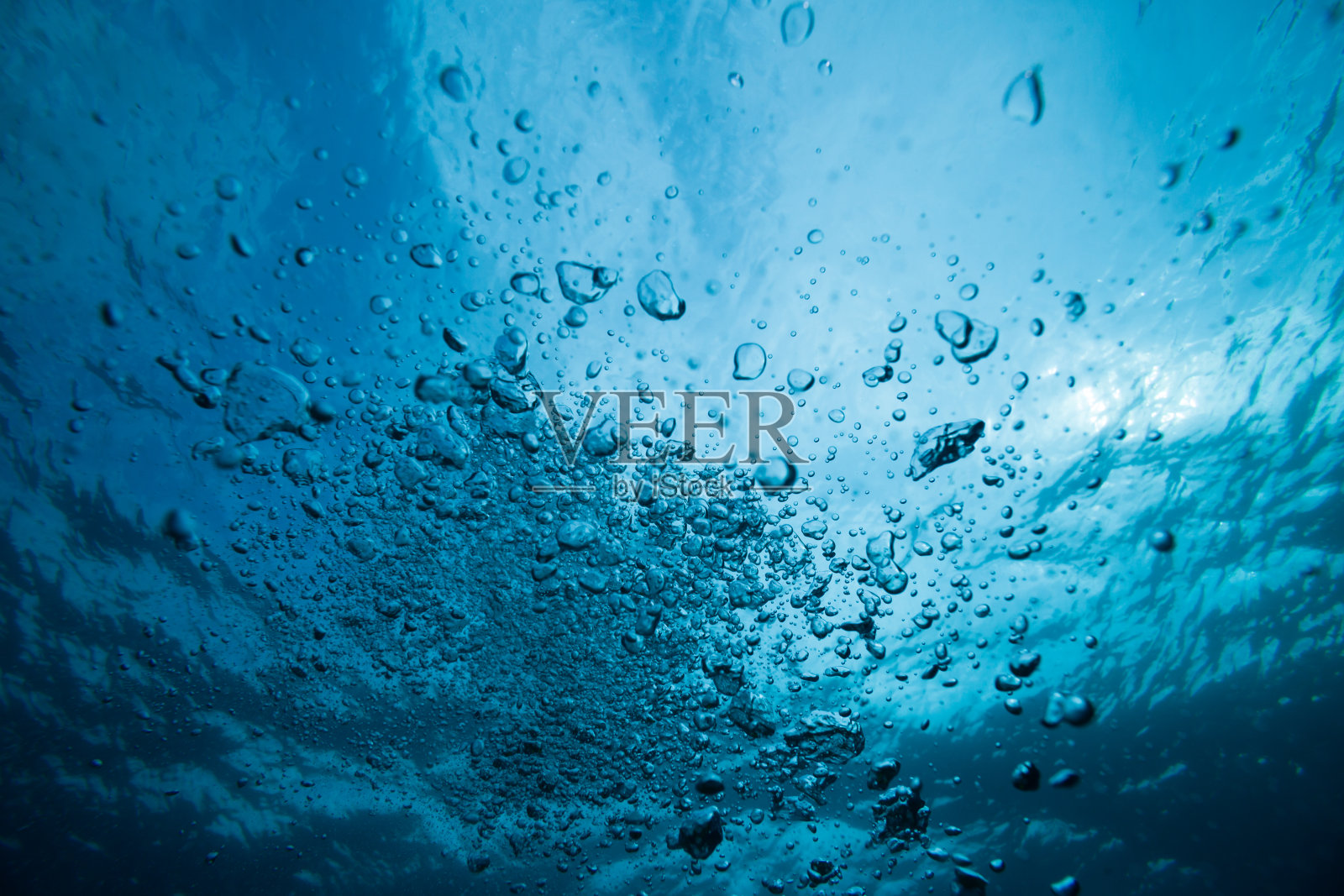 水下照片摄影图片