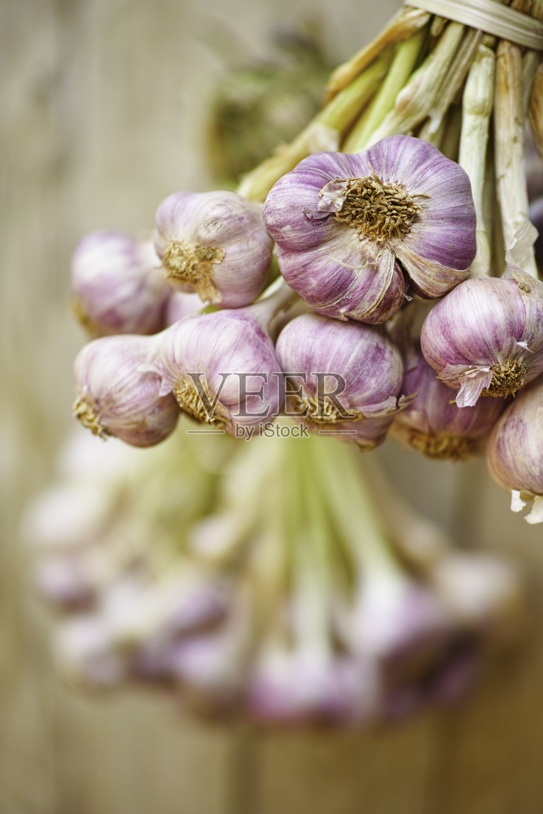 新鲜收获的大蒜晾干。照片摄影图片