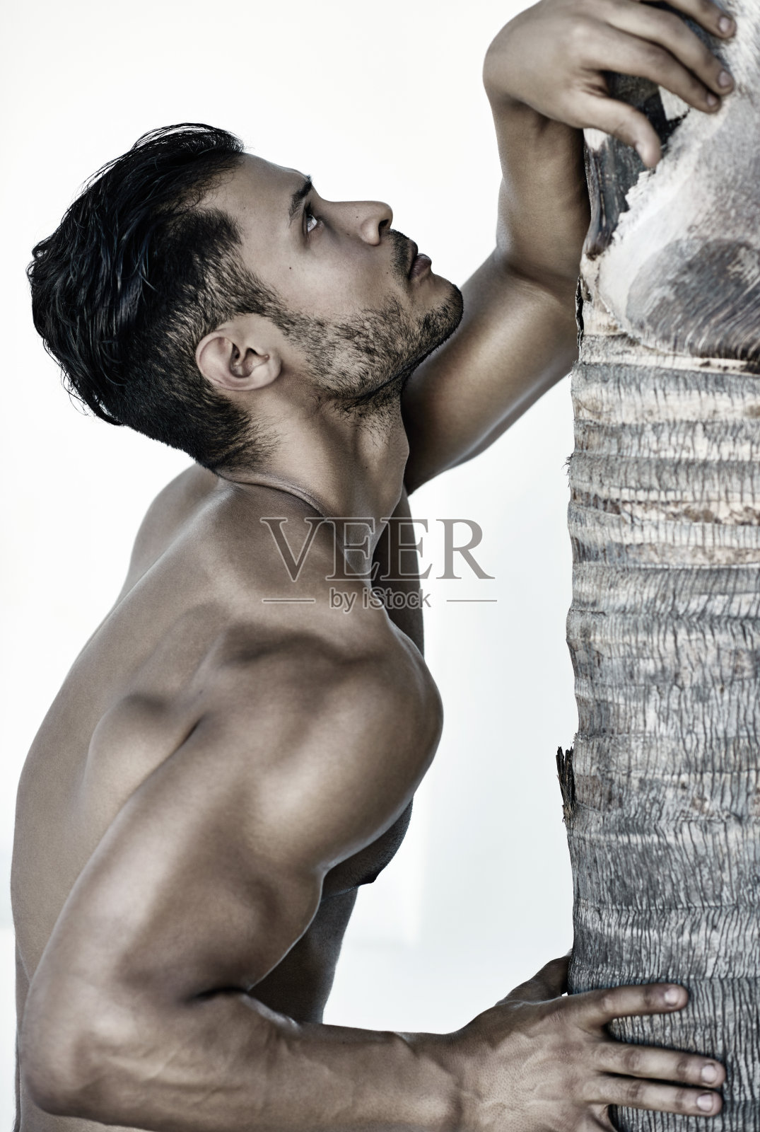 他是阳刚之气的象征照片摄影图片