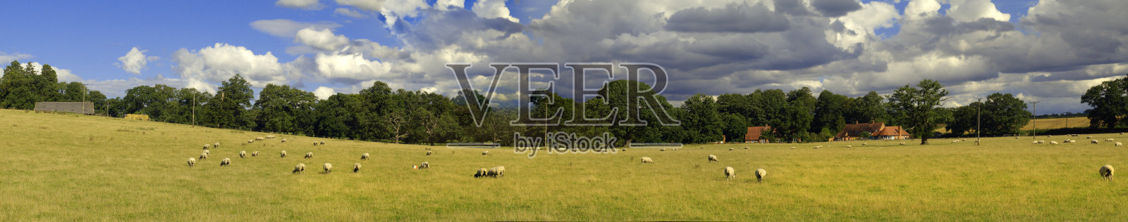 农村照片摄影图片