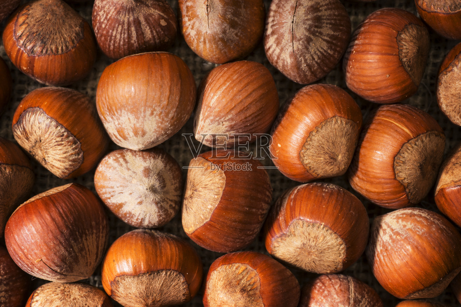 榛子照片摄影图片