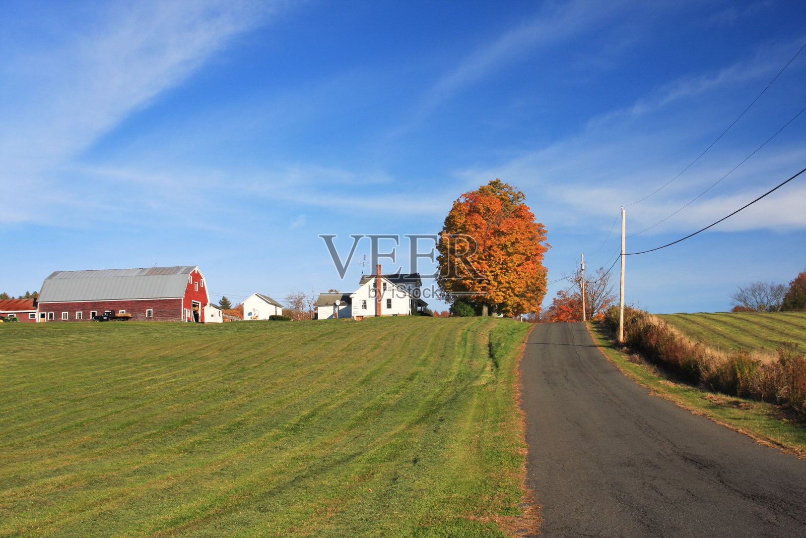 乡间小路照片摄影图片