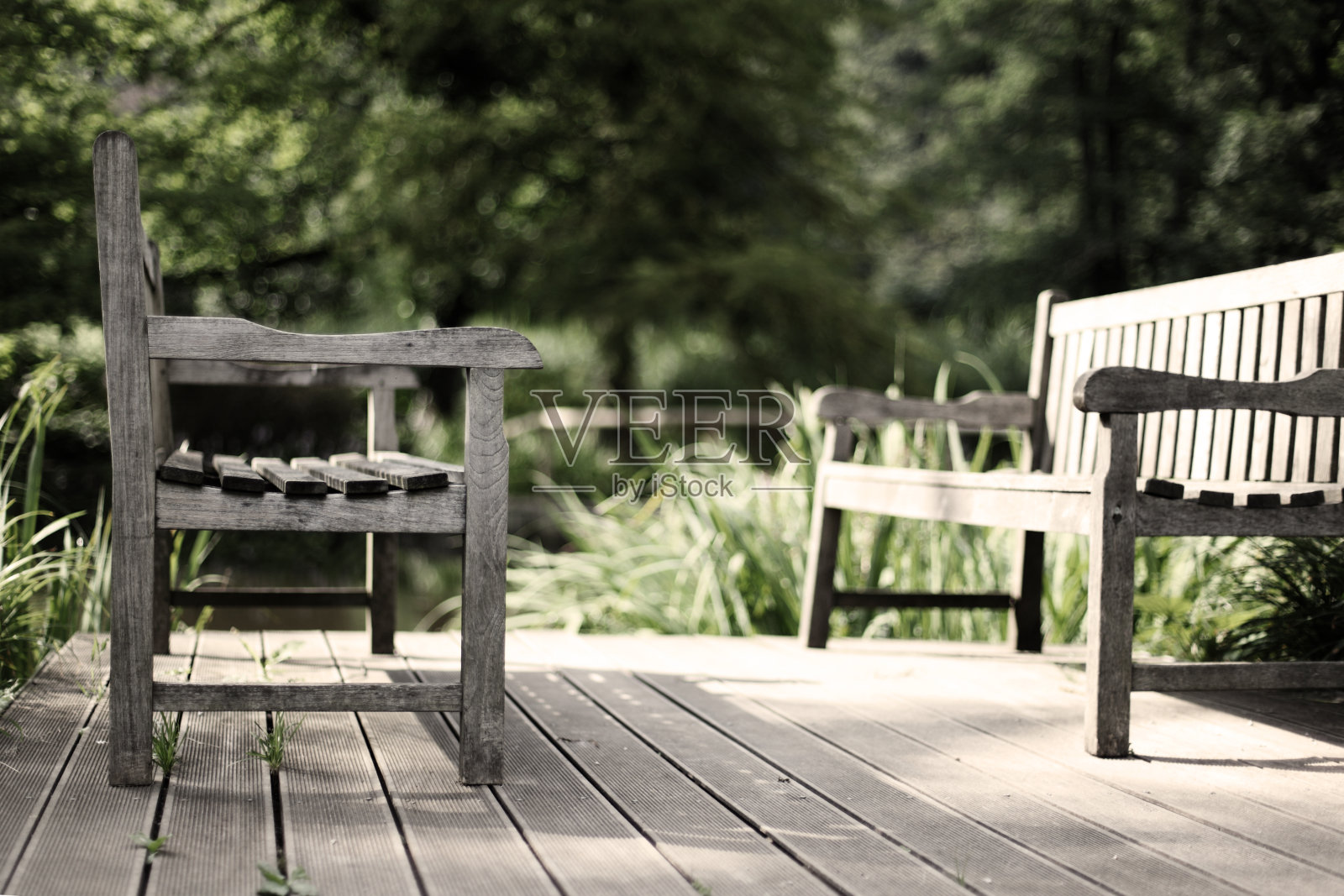 空的公园长椅上照片摄影图片