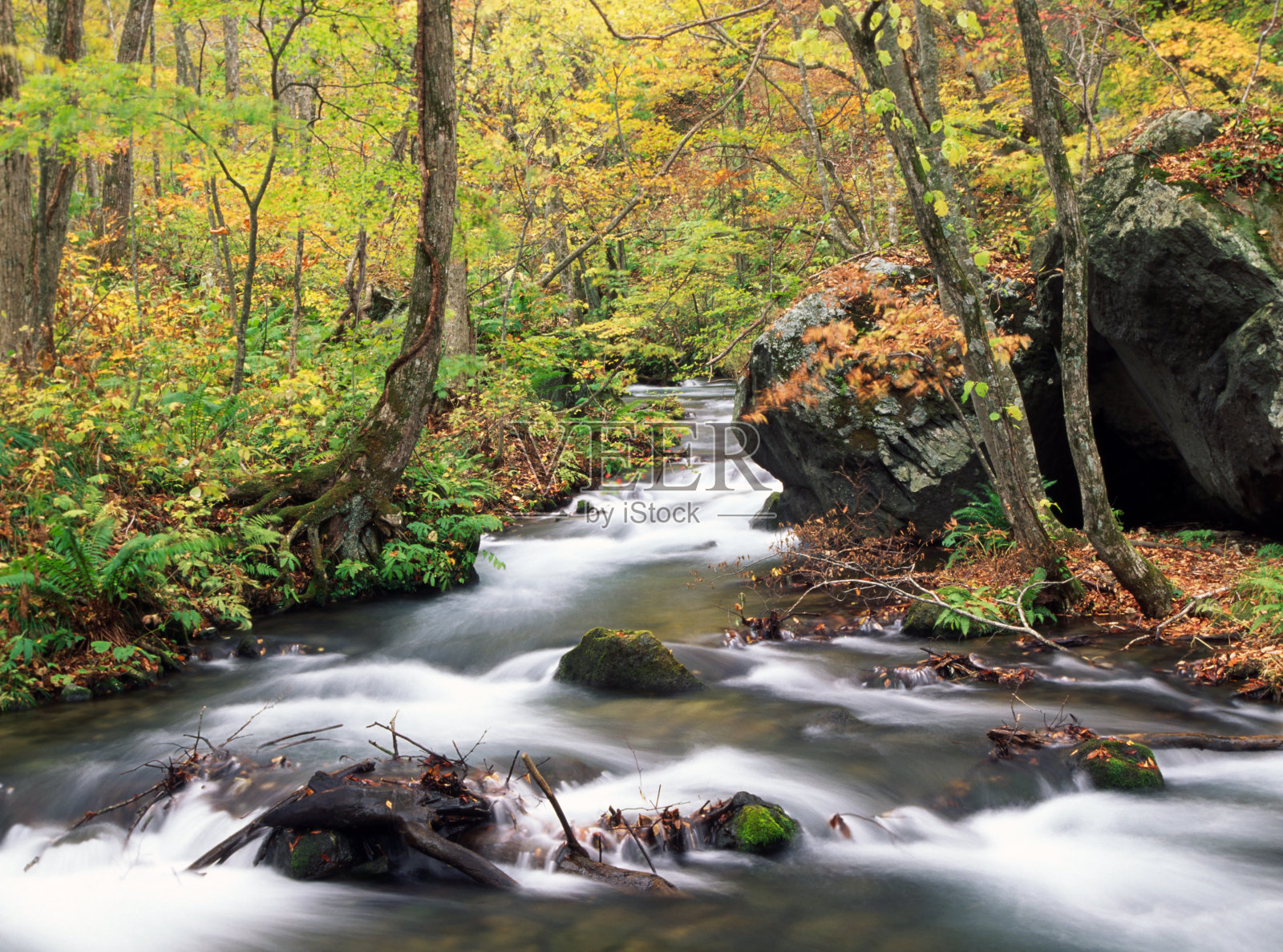 秋天山涧照片摄影图片