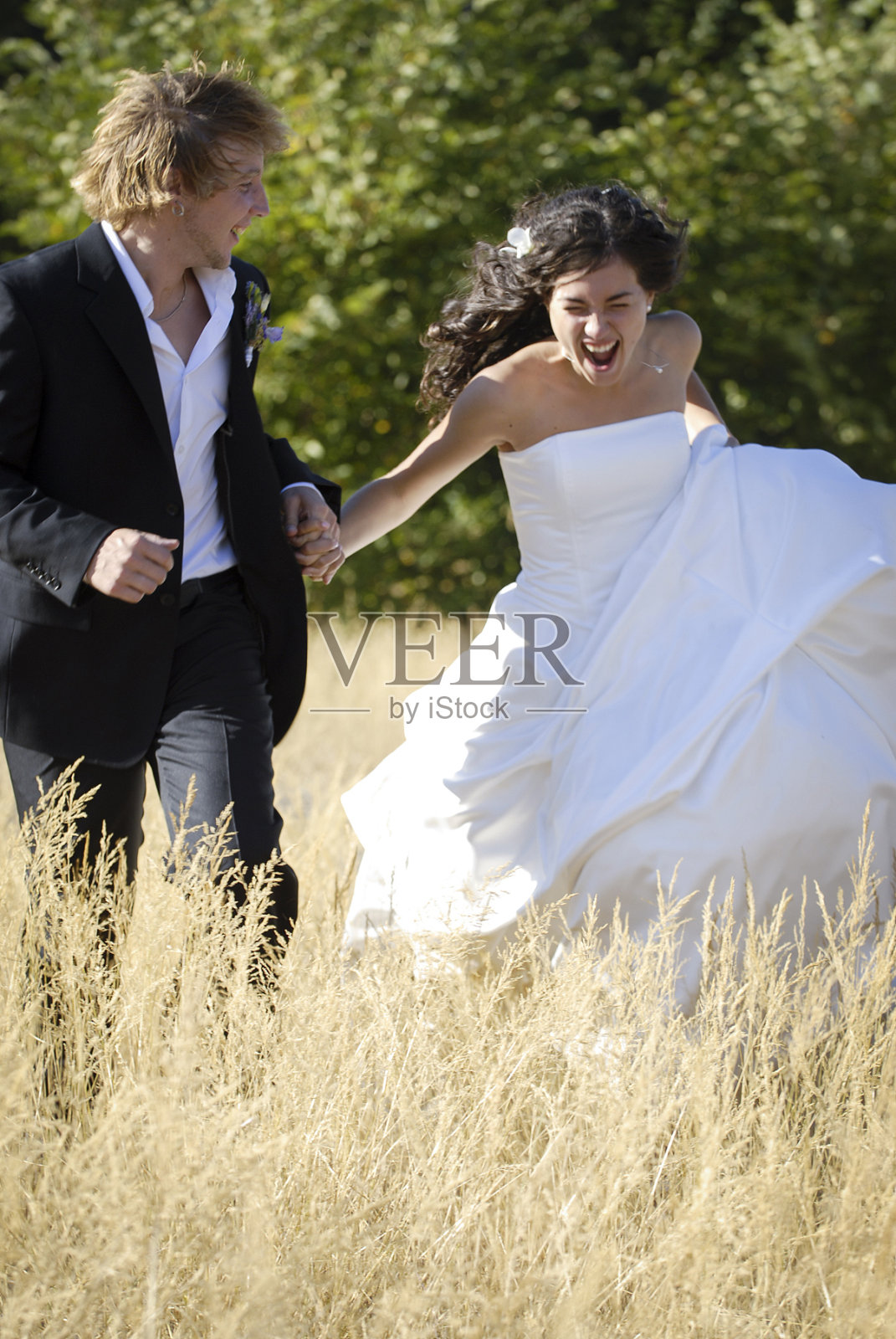 婚礼照片照片摄影图片