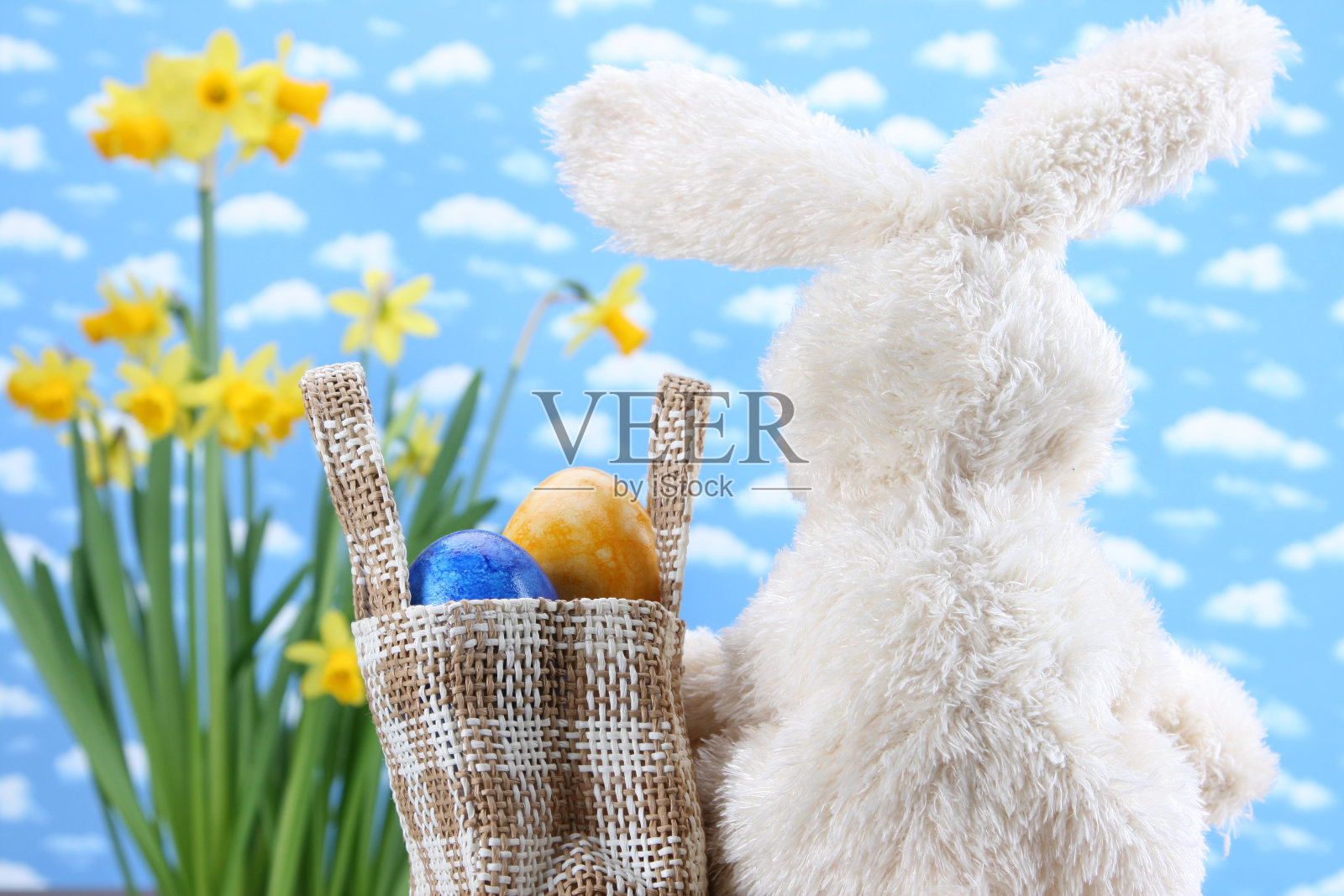 路上的兔子照片摄影图片