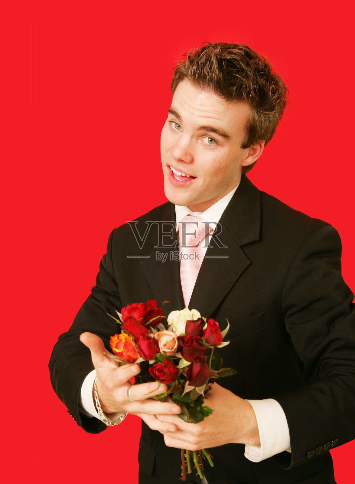 提供的玫瑰照片摄影图片