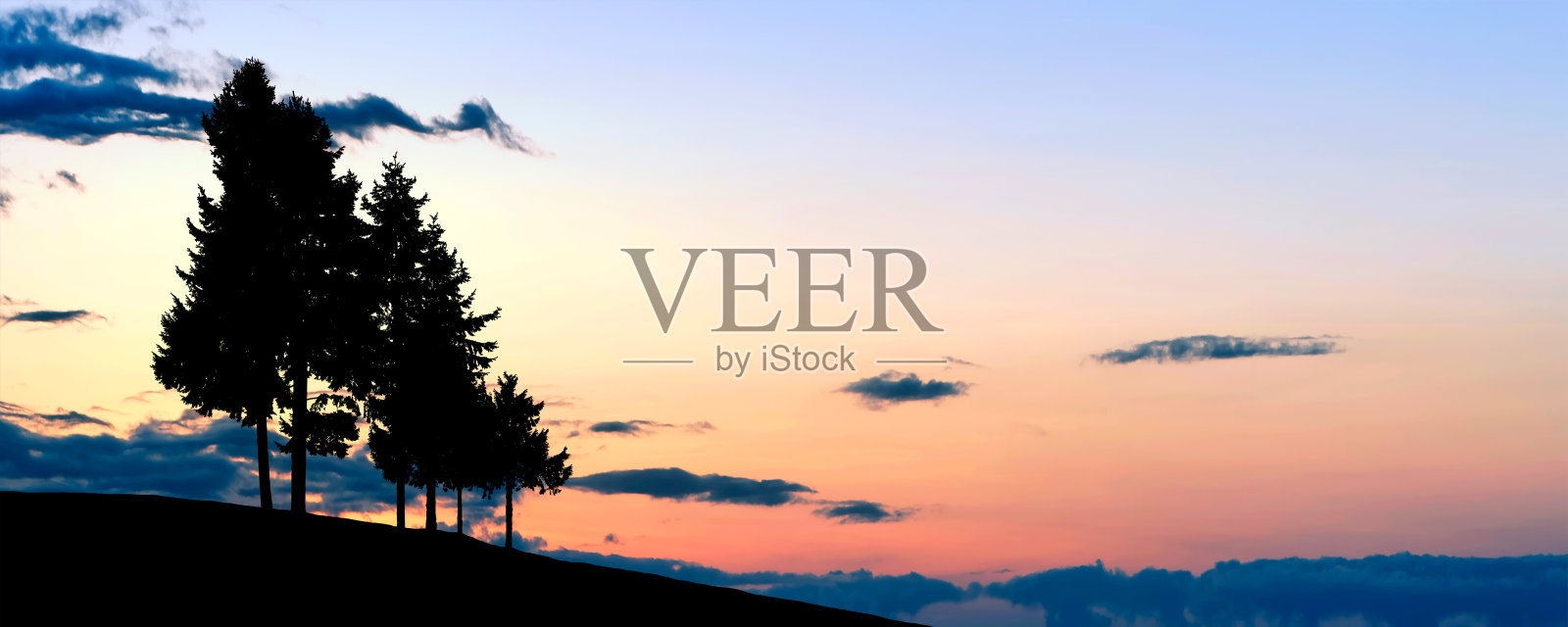 松树轮廓照片摄影图片