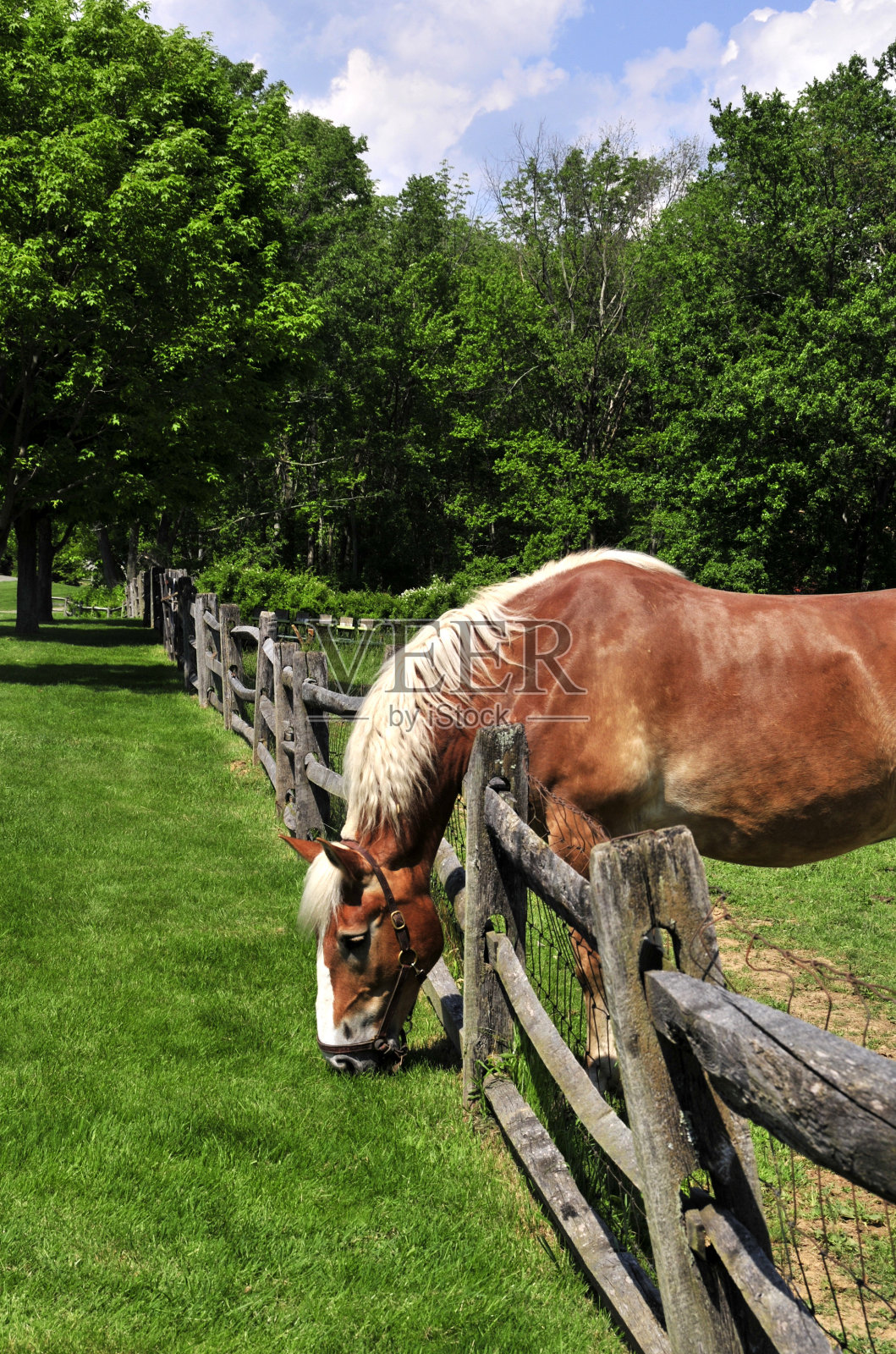 外出就餐照片摄影图片