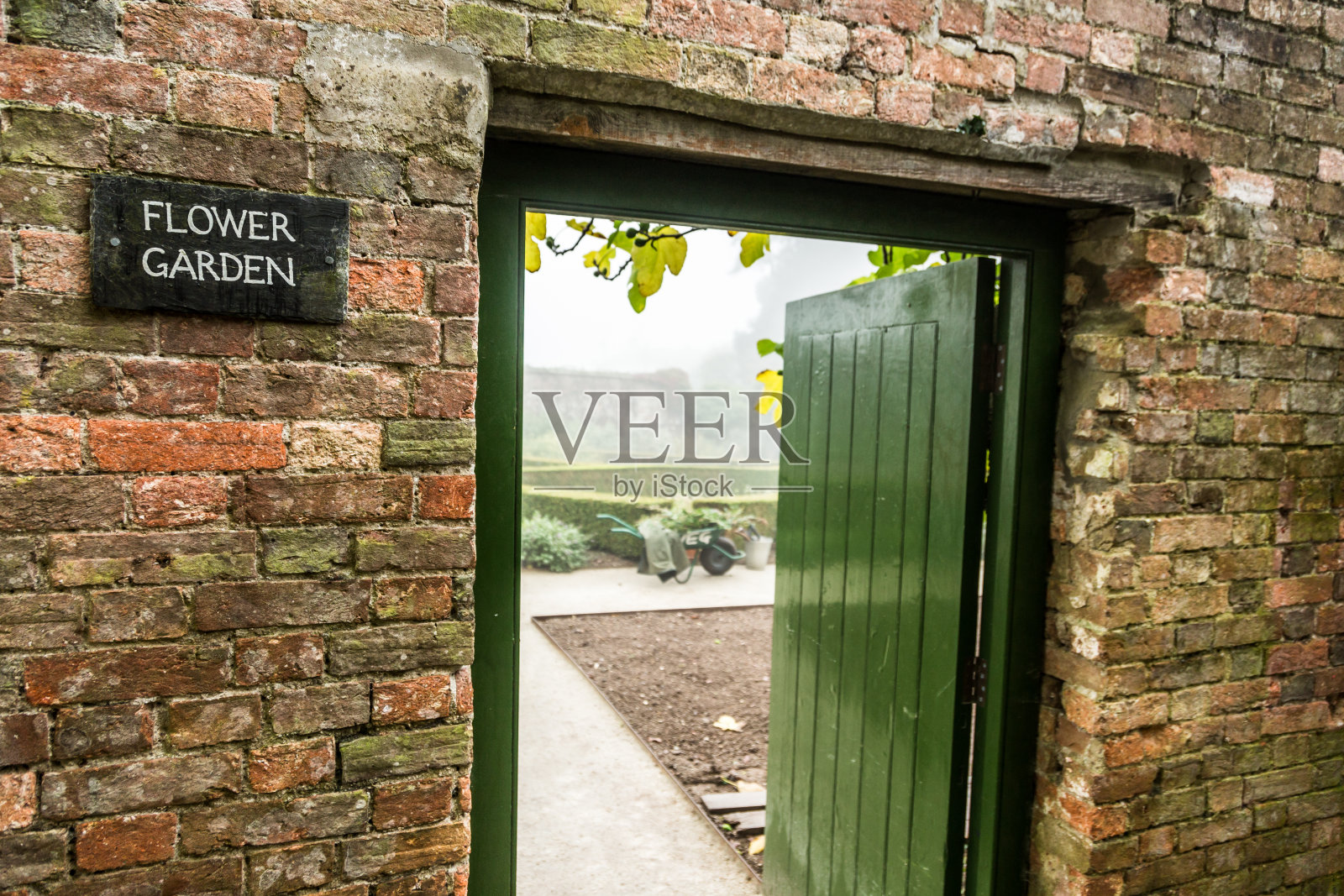 花园照片摄影图片