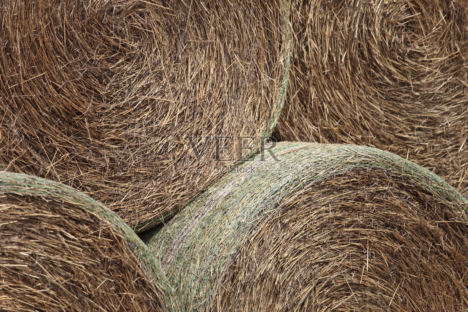 干草穗水平背景照片摄影图片