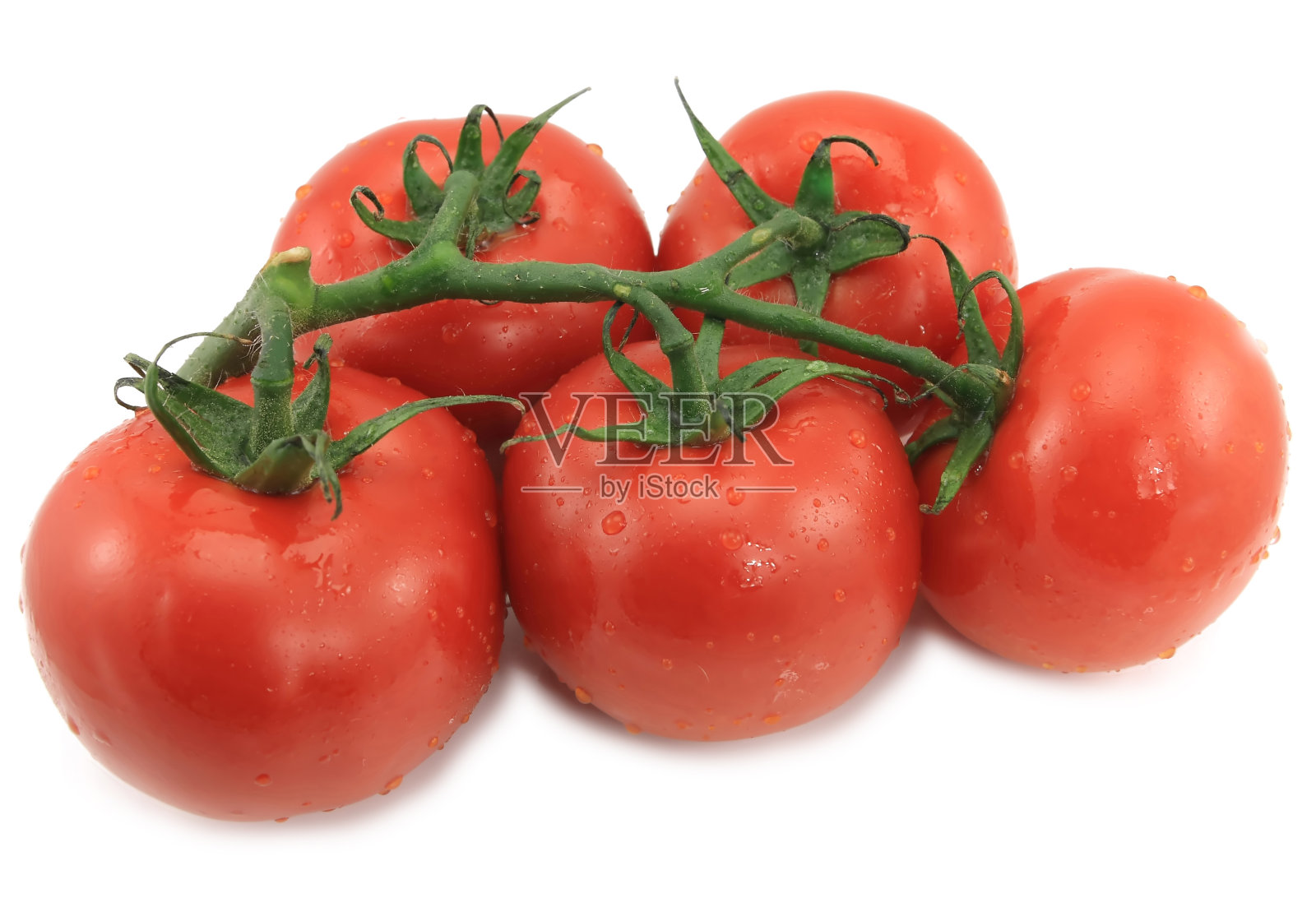 西红柿新鲜采摘照片摄影图片
