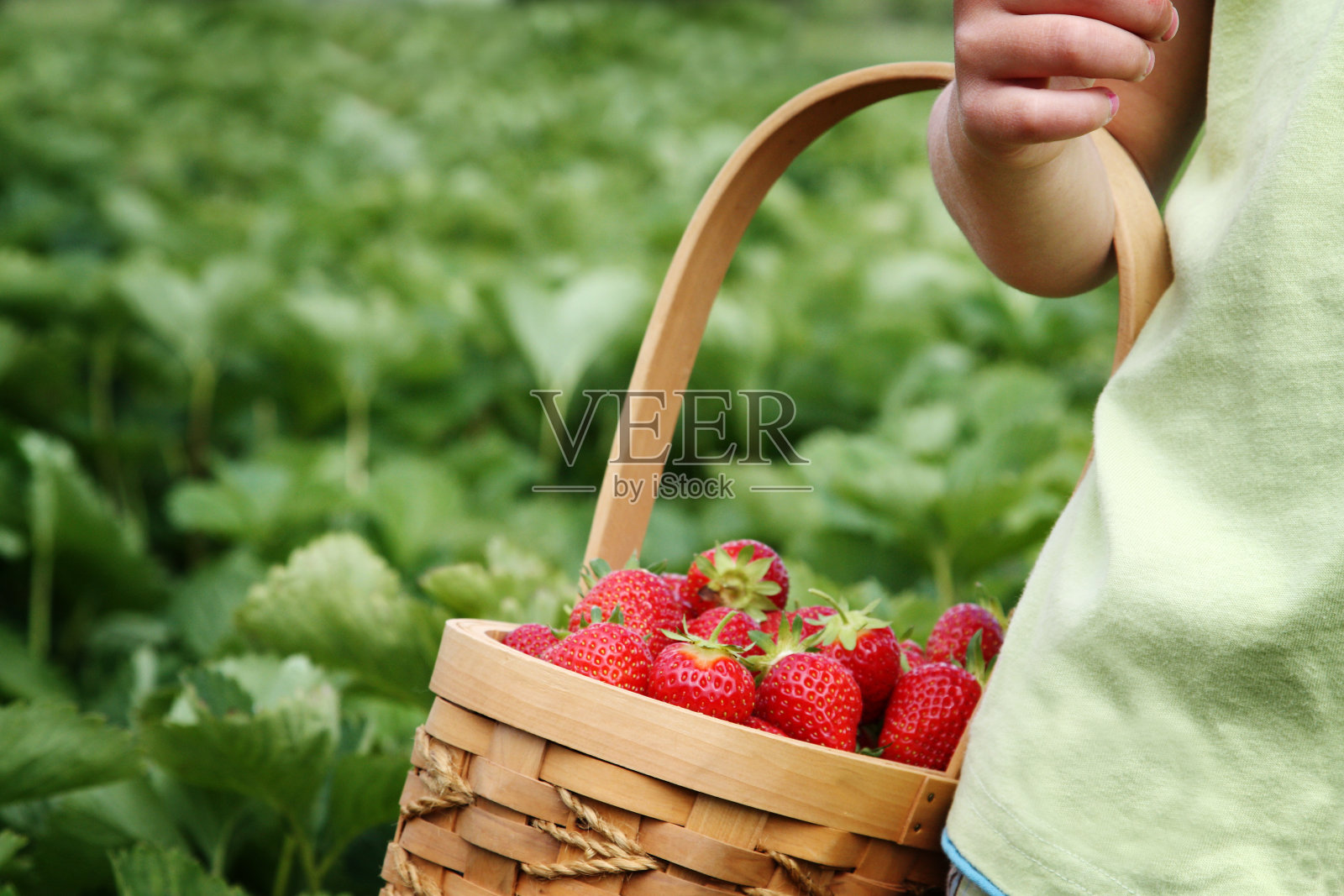 近距离看一个草莓篮子照片摄影图片