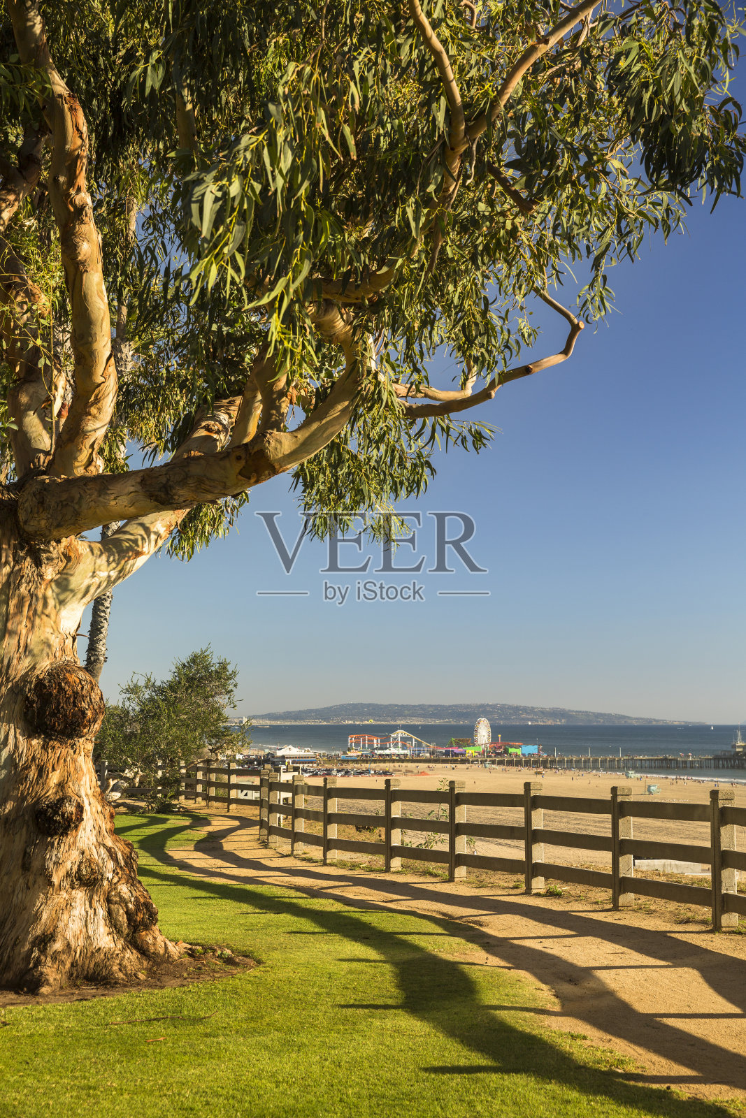 加州圣莫尼卡海滩照片摄影图片