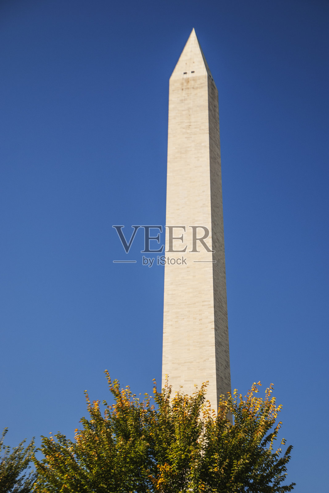 华盛顿纪念碑照片摄影图片