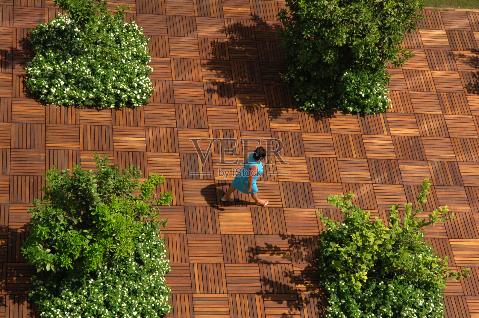 走照片摄影图片