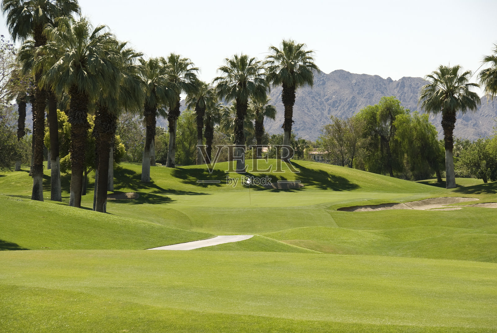 美丽的沙漠高尔夫球场在棕榈泉，加利福尼亚州照片摄影图片