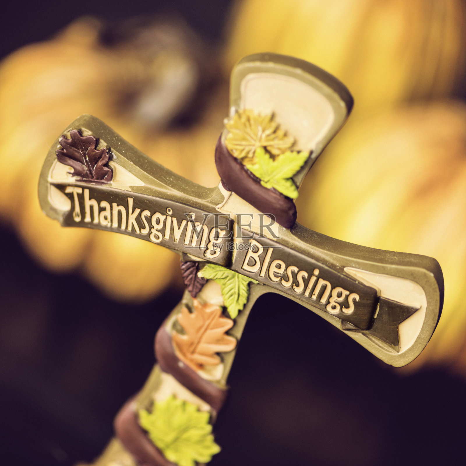 秋季感恩节安排照片摄影图片