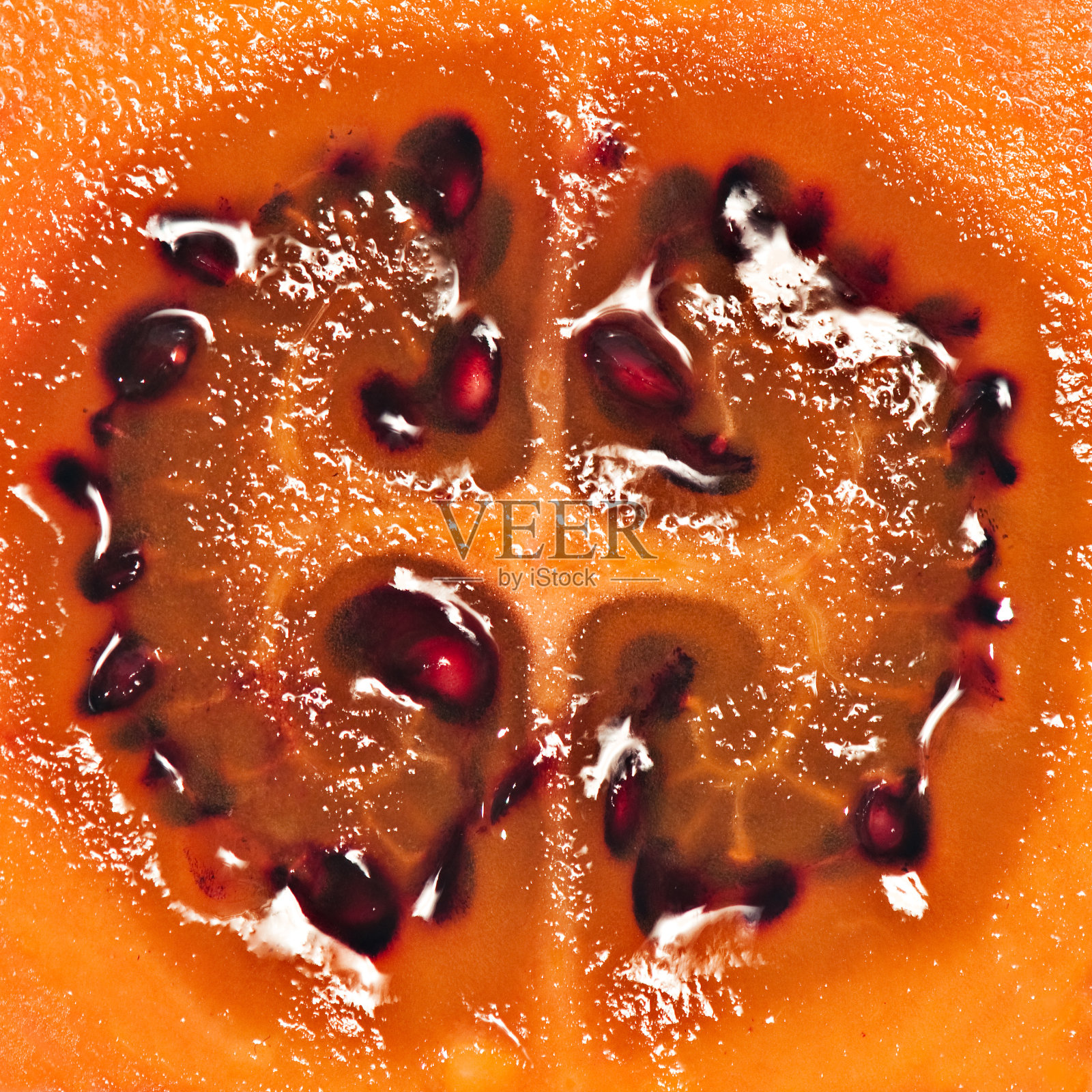 番茄照片摄影图片