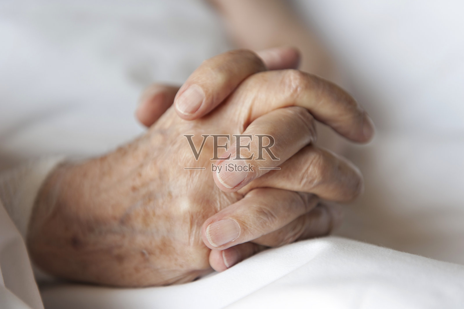 手照片摄影图片