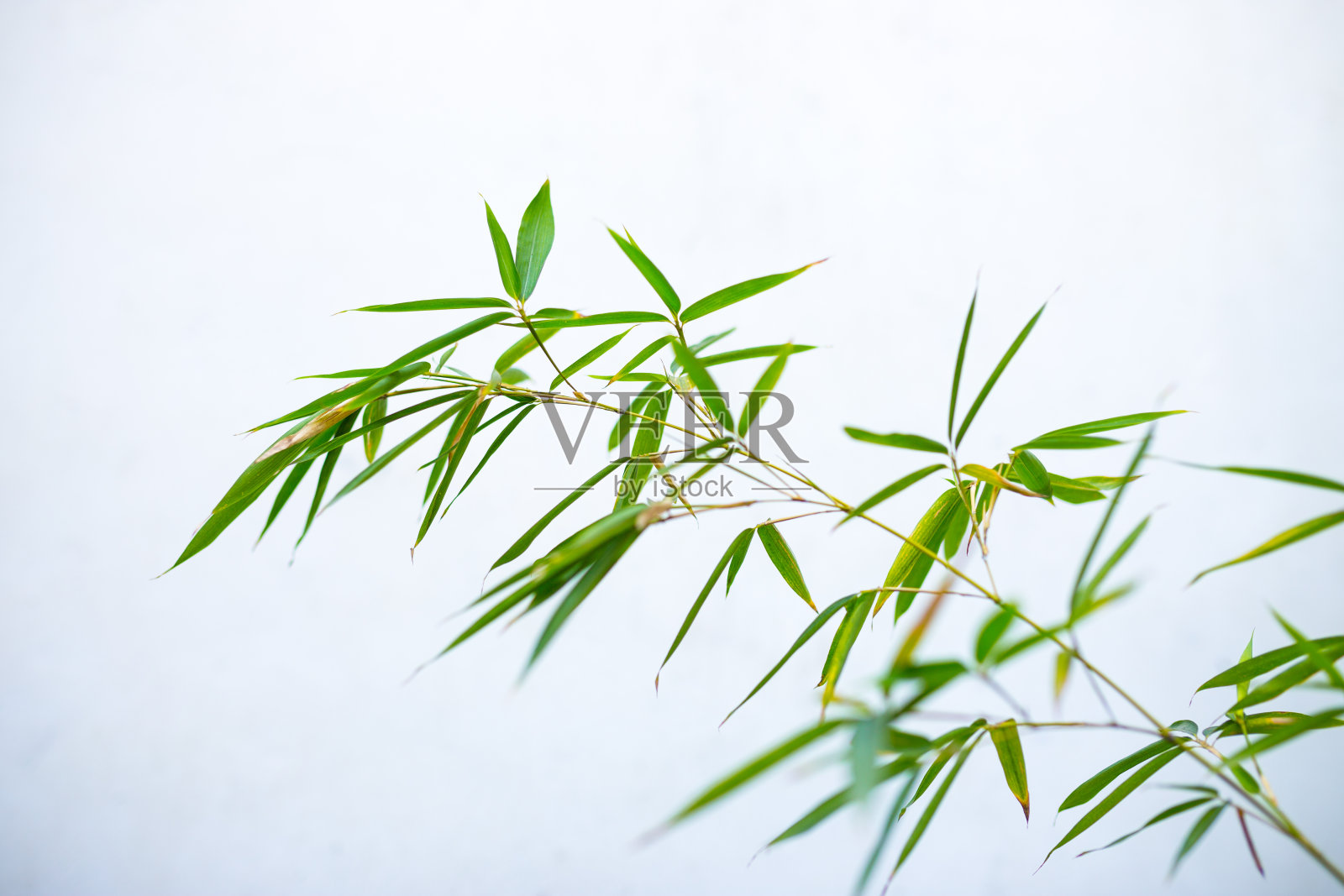 周庄，中国上海水乡照片摄影图片