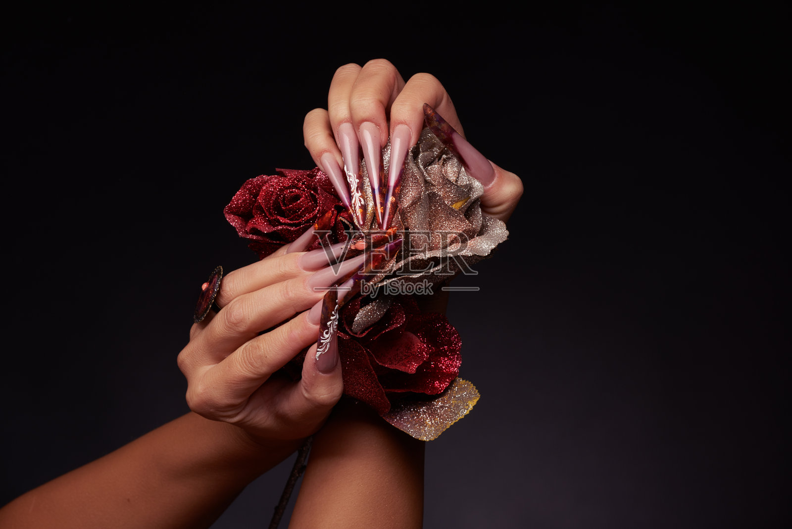 美丽的双手捧着玫瑰照片摄影图片