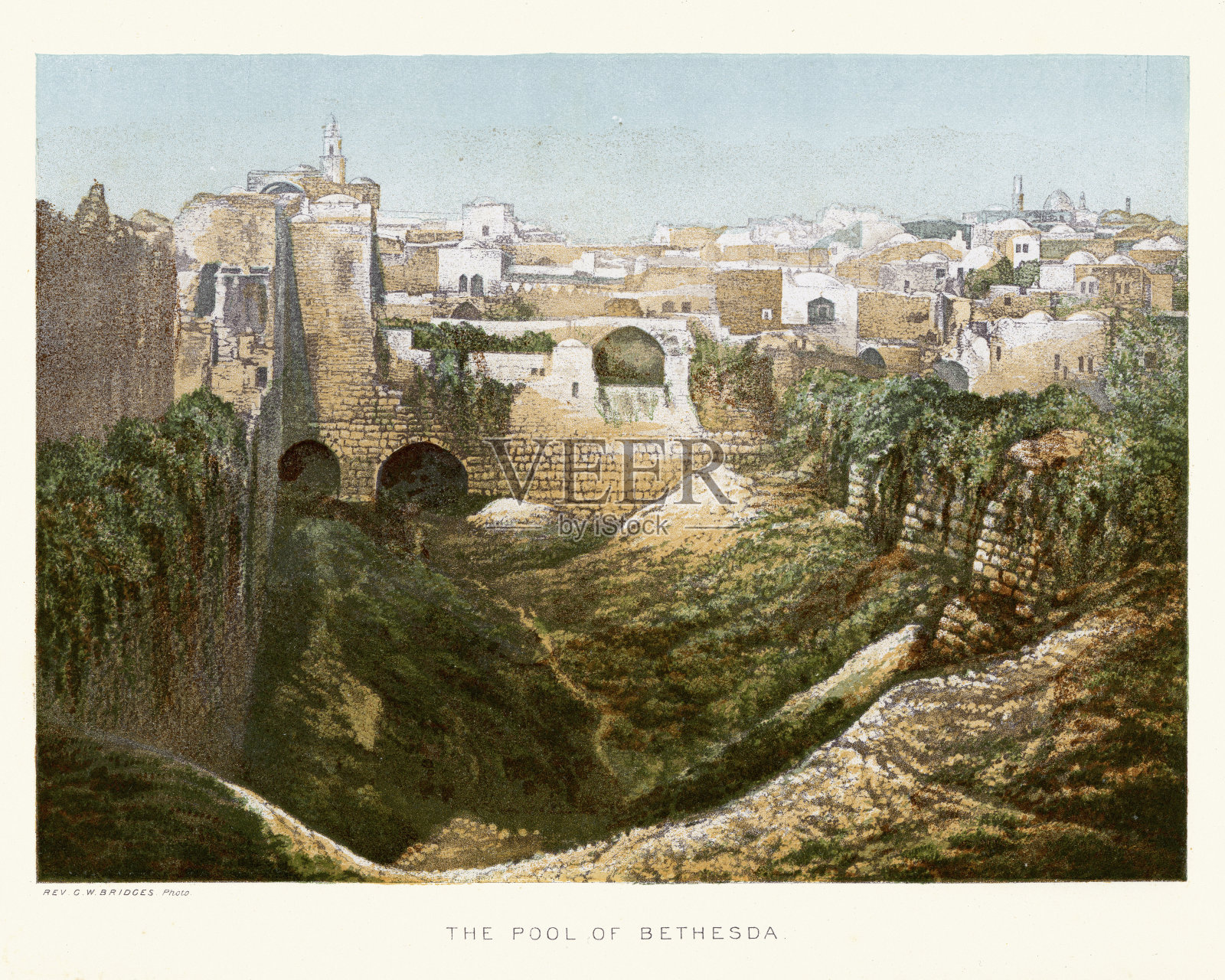 毕士大池插画图片素材