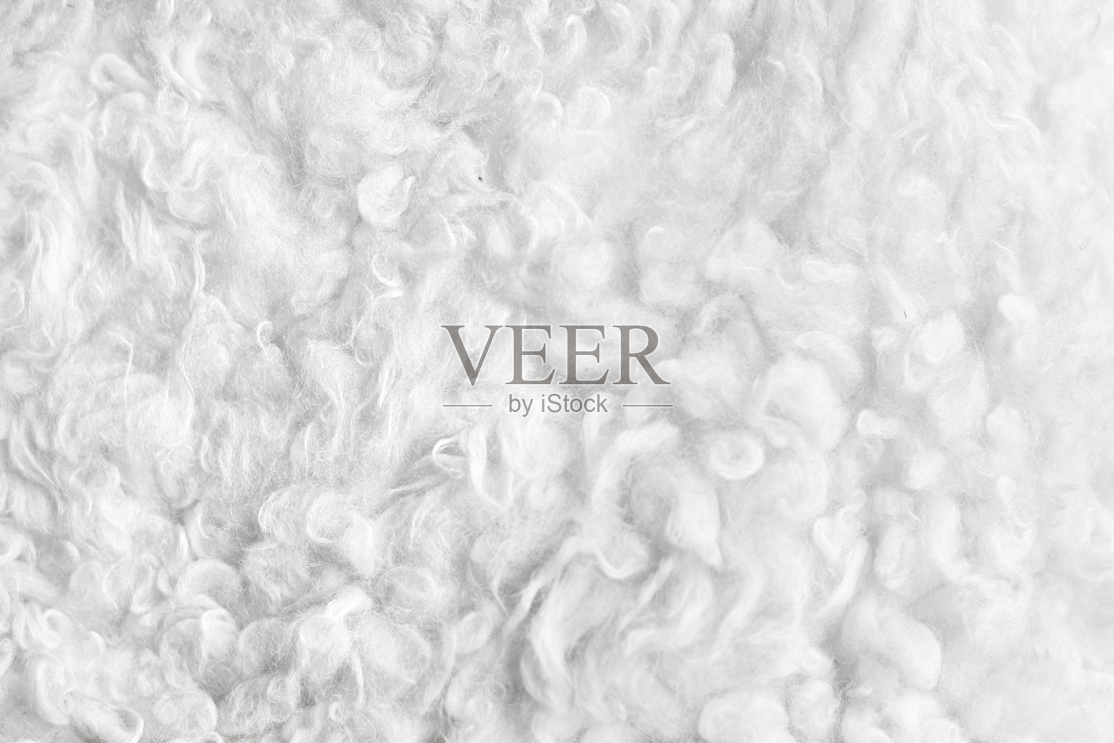 羊皮照片摄影图片