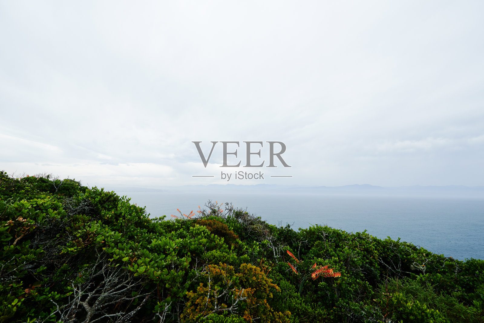 海岸边的朦胧早晨照片摄影图片