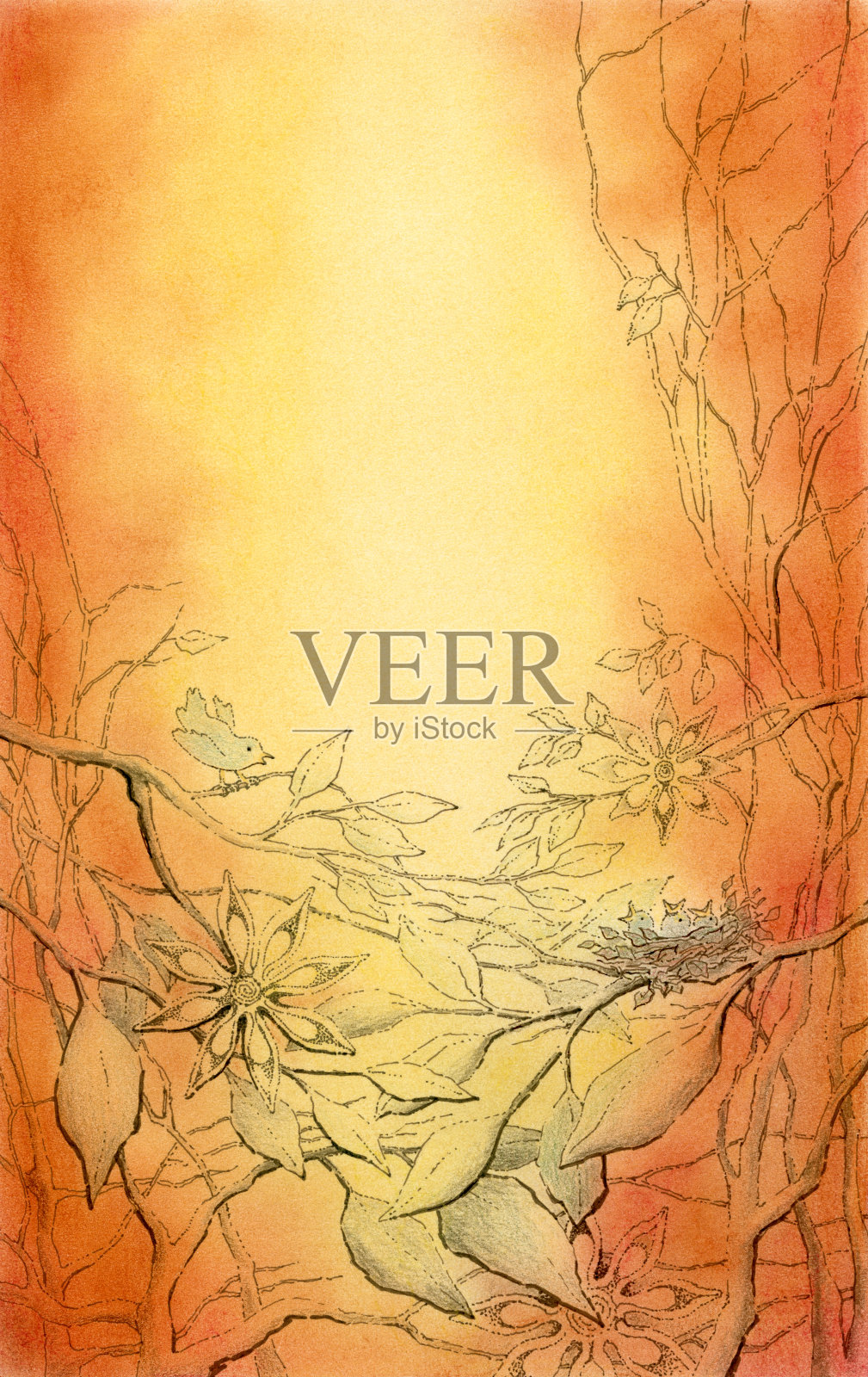 鸟类和分支背景插画图片素材