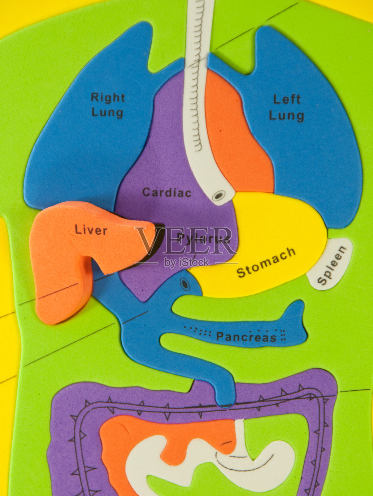 肝病照片摄影图片
