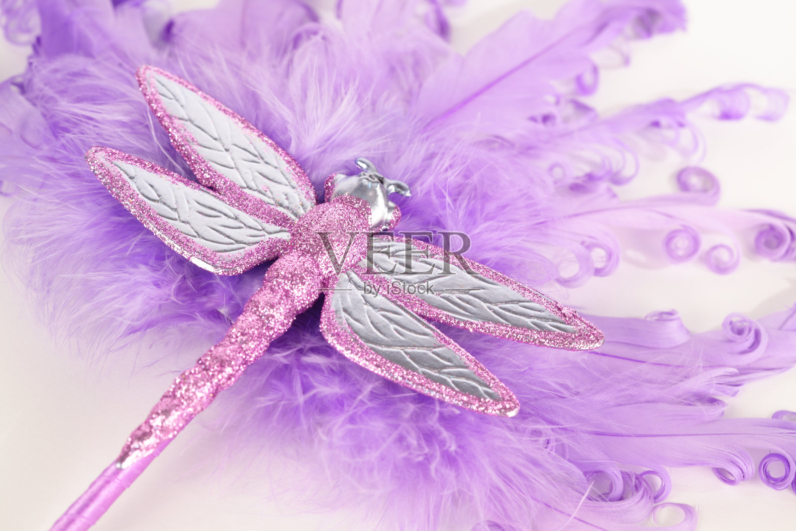 紫色羽毛扇与闪光蜻蜓照片摄影图片