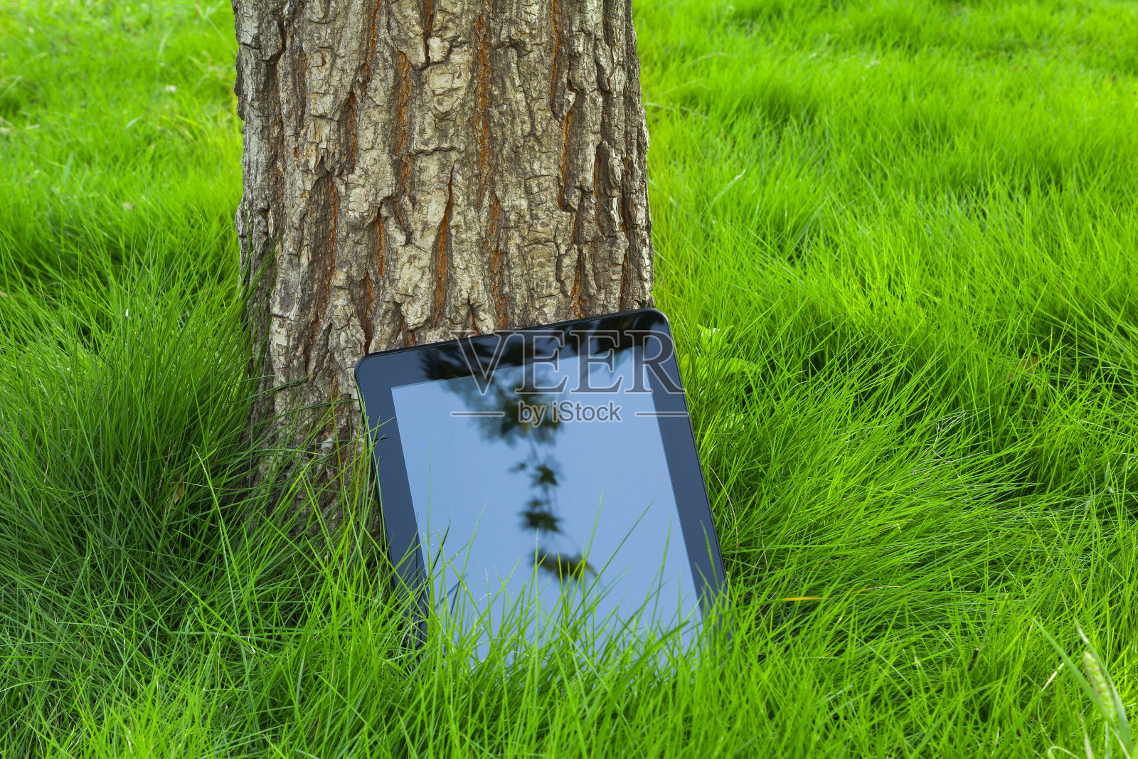 在大自然中工作:草地背景上的数字平板电脑照片摄影图片
