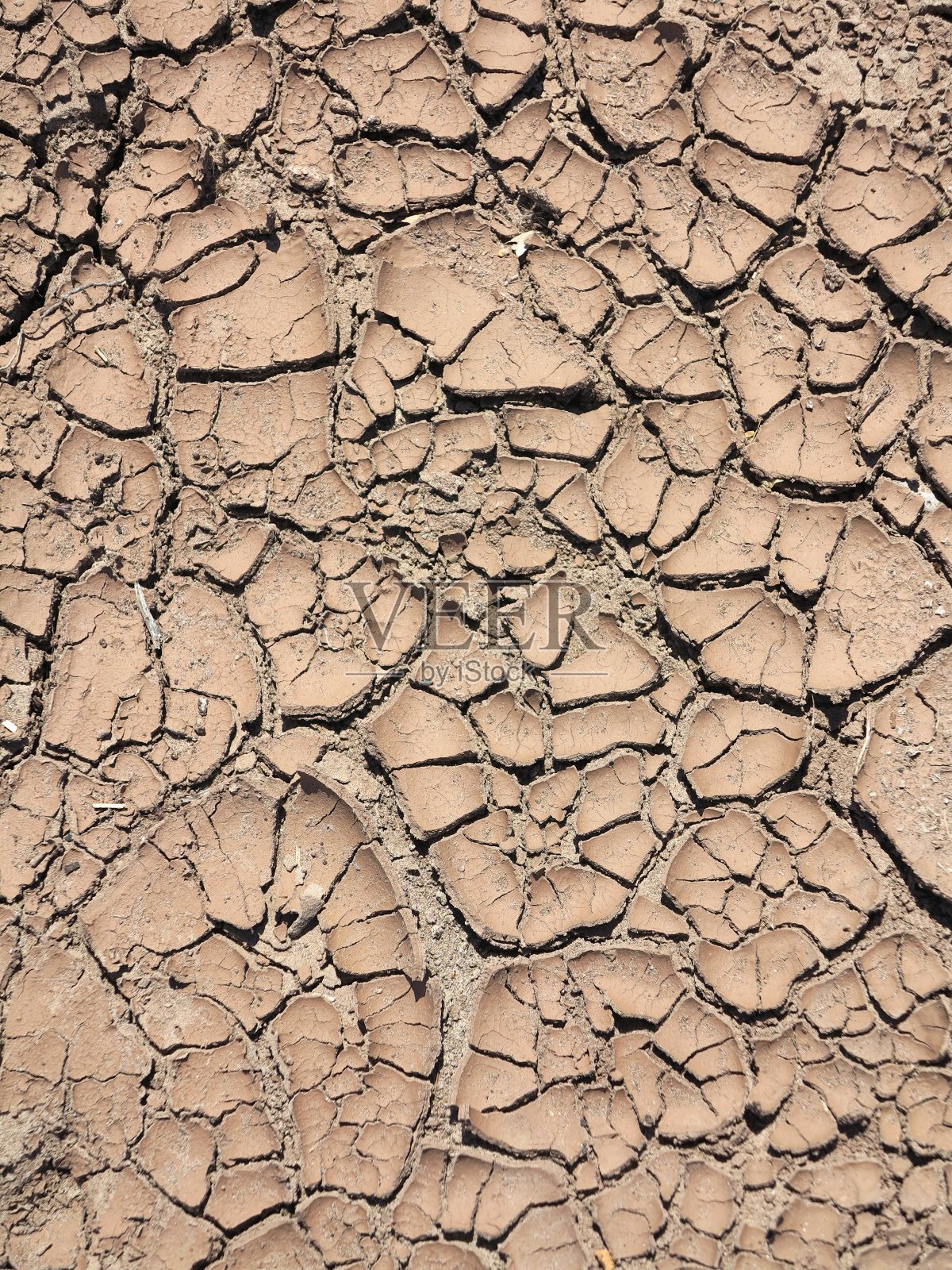 全球变暖——干旱的地球照片摄影图片