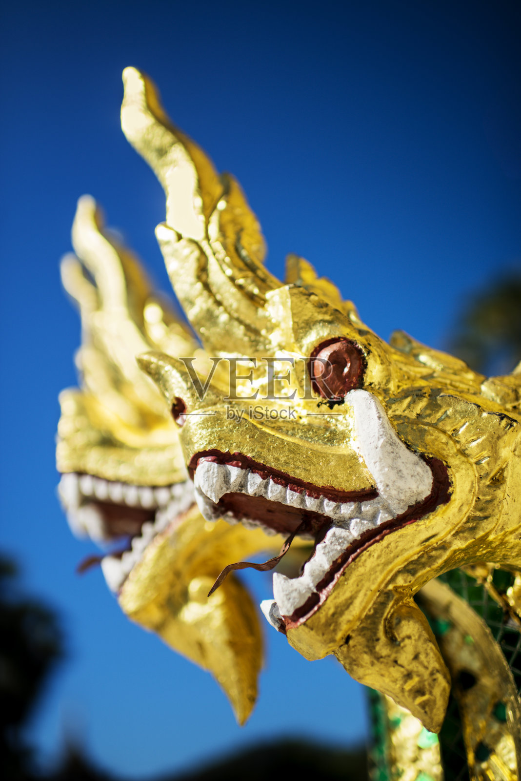 佛教寺庙的那伽雕像照片摄影图片