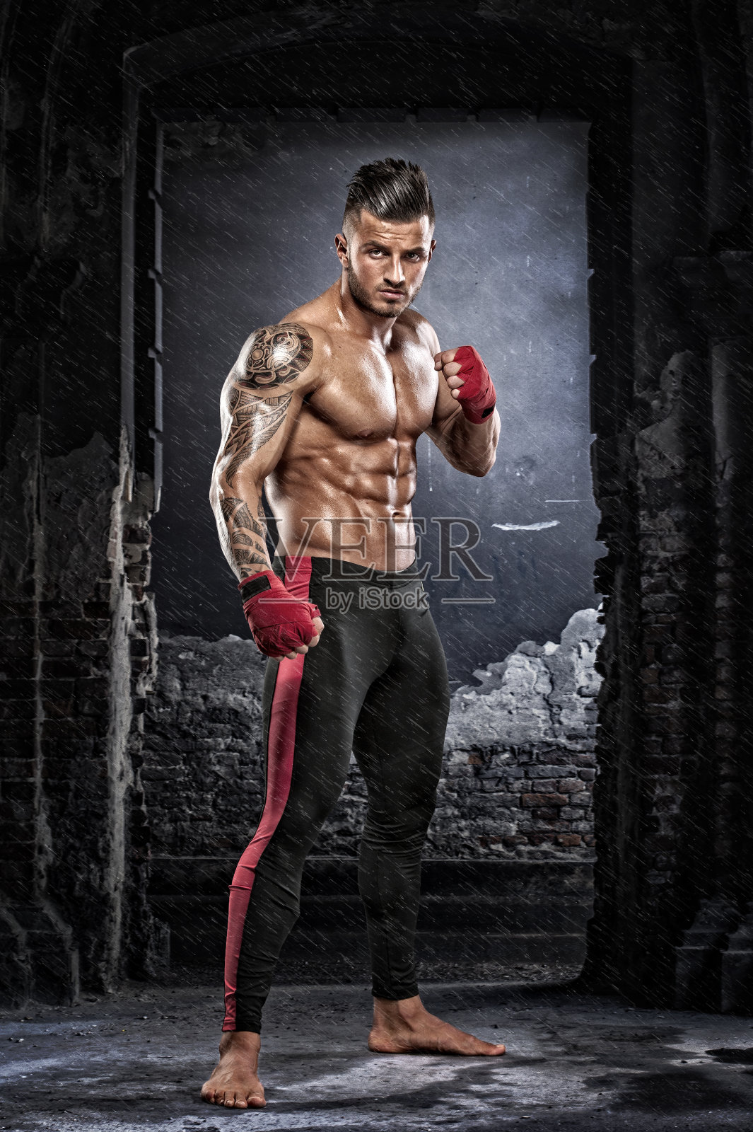 龙争虎斗照片摄影图片