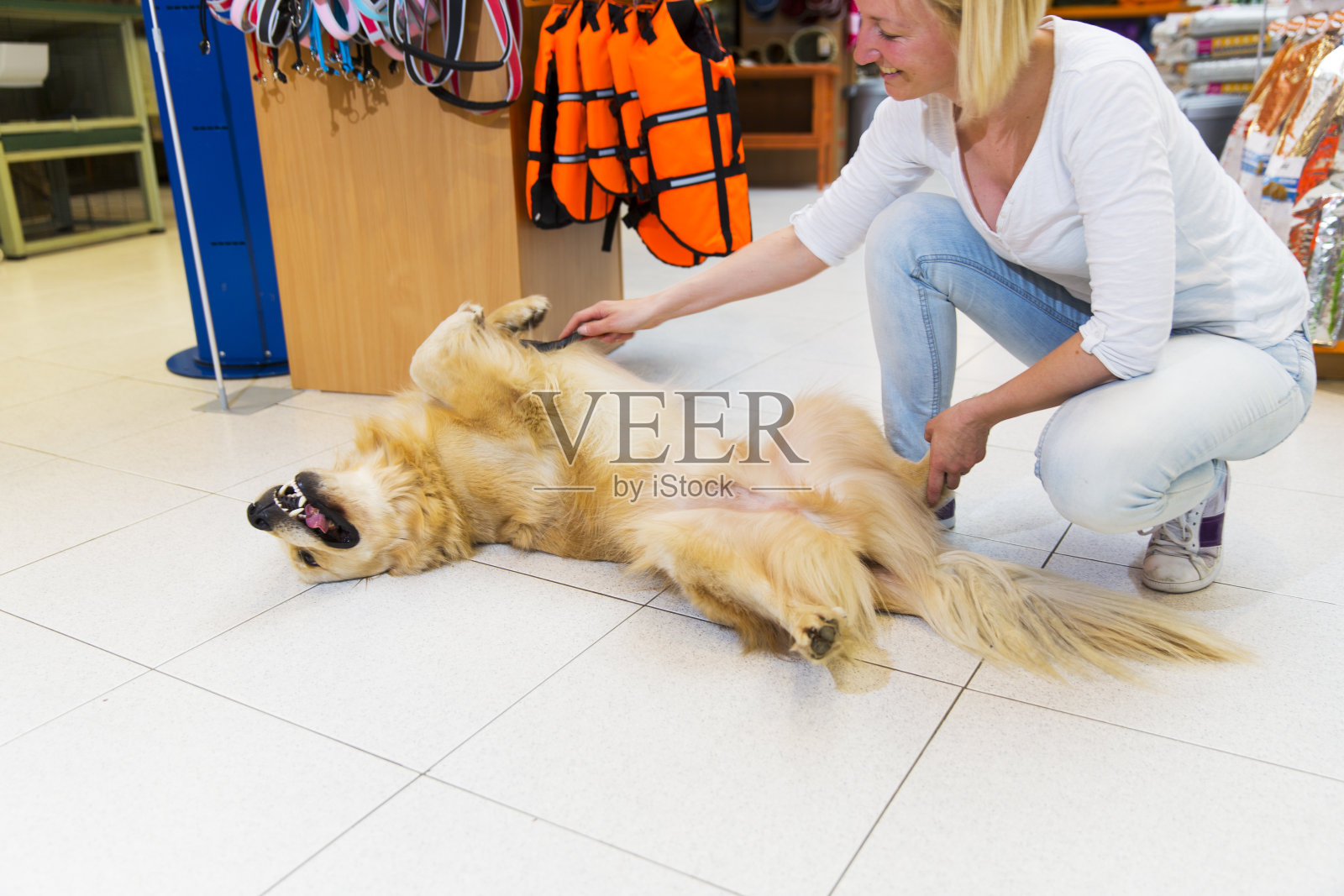 宠物店里的金毛猎犬…可爱的女主人正在给他刷牙照片摄影图片