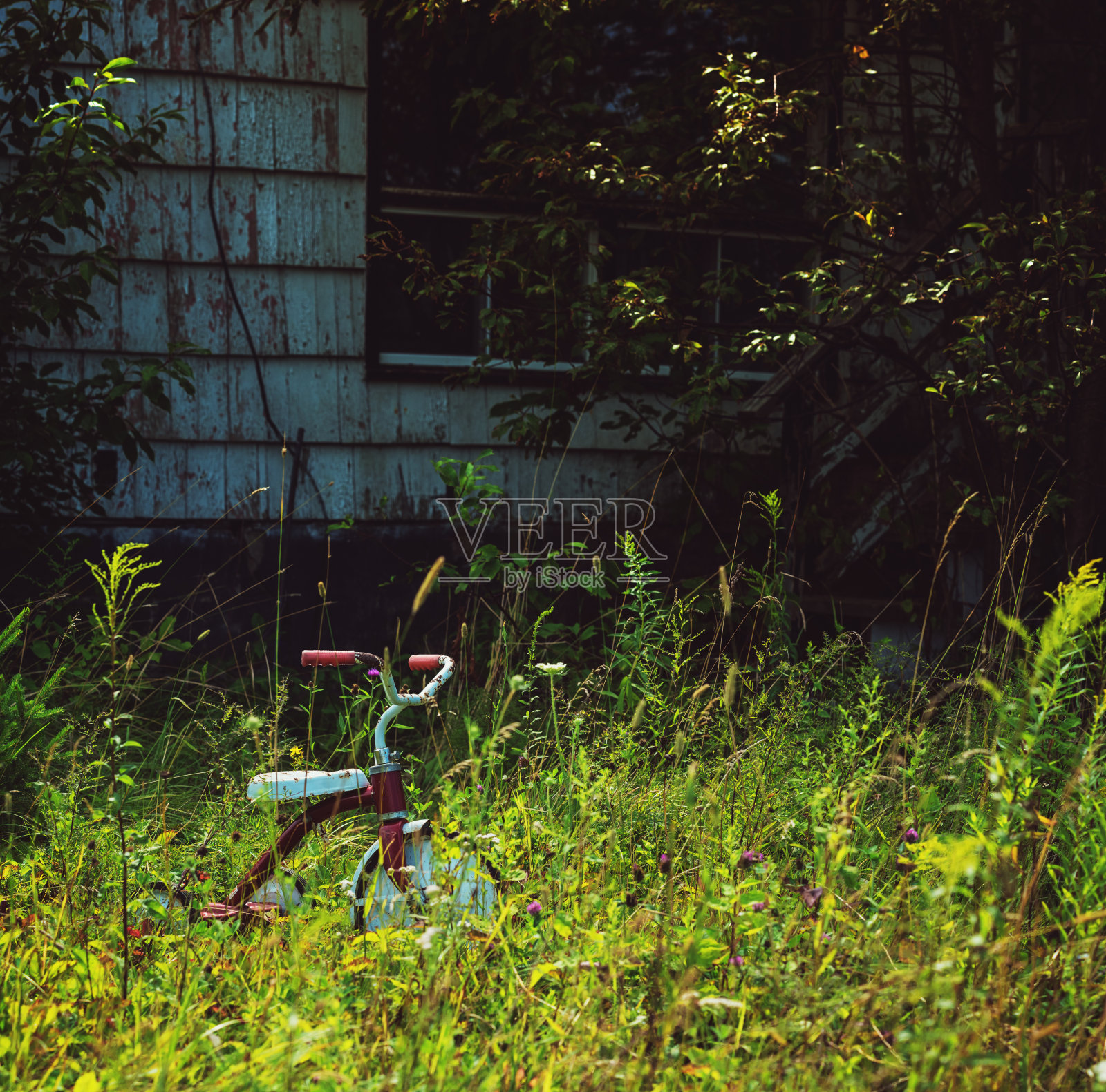 光明与黑暗照片摄影图片