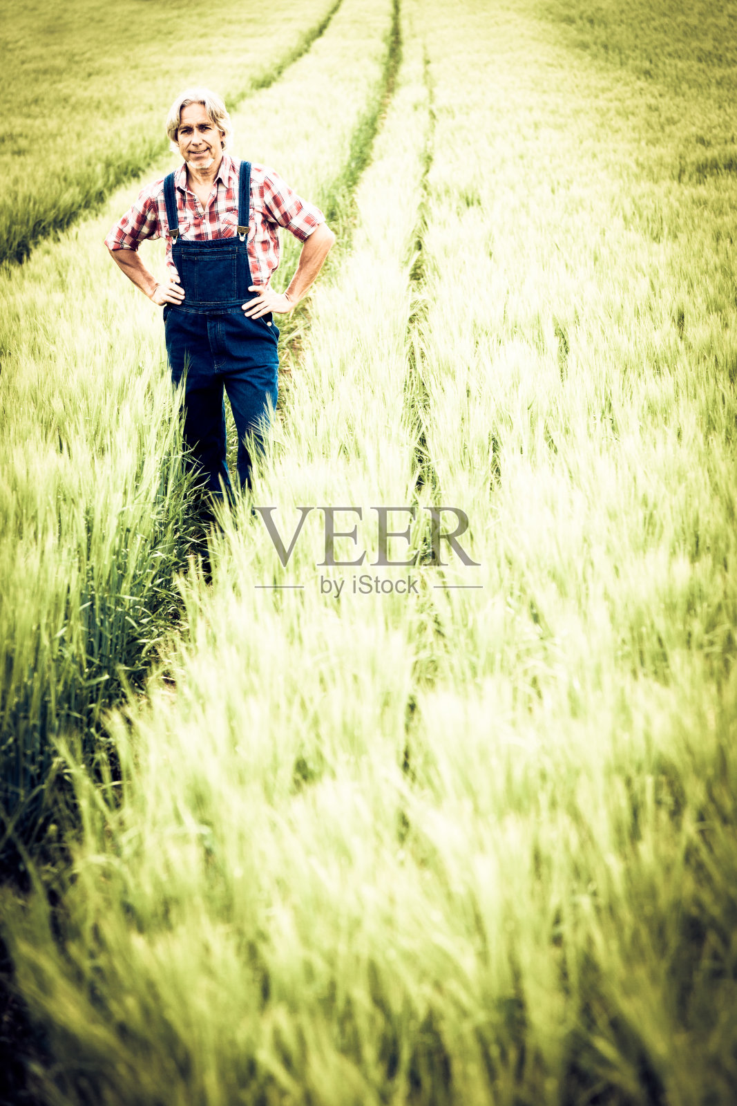 农夫站在田野里照片摄影图片