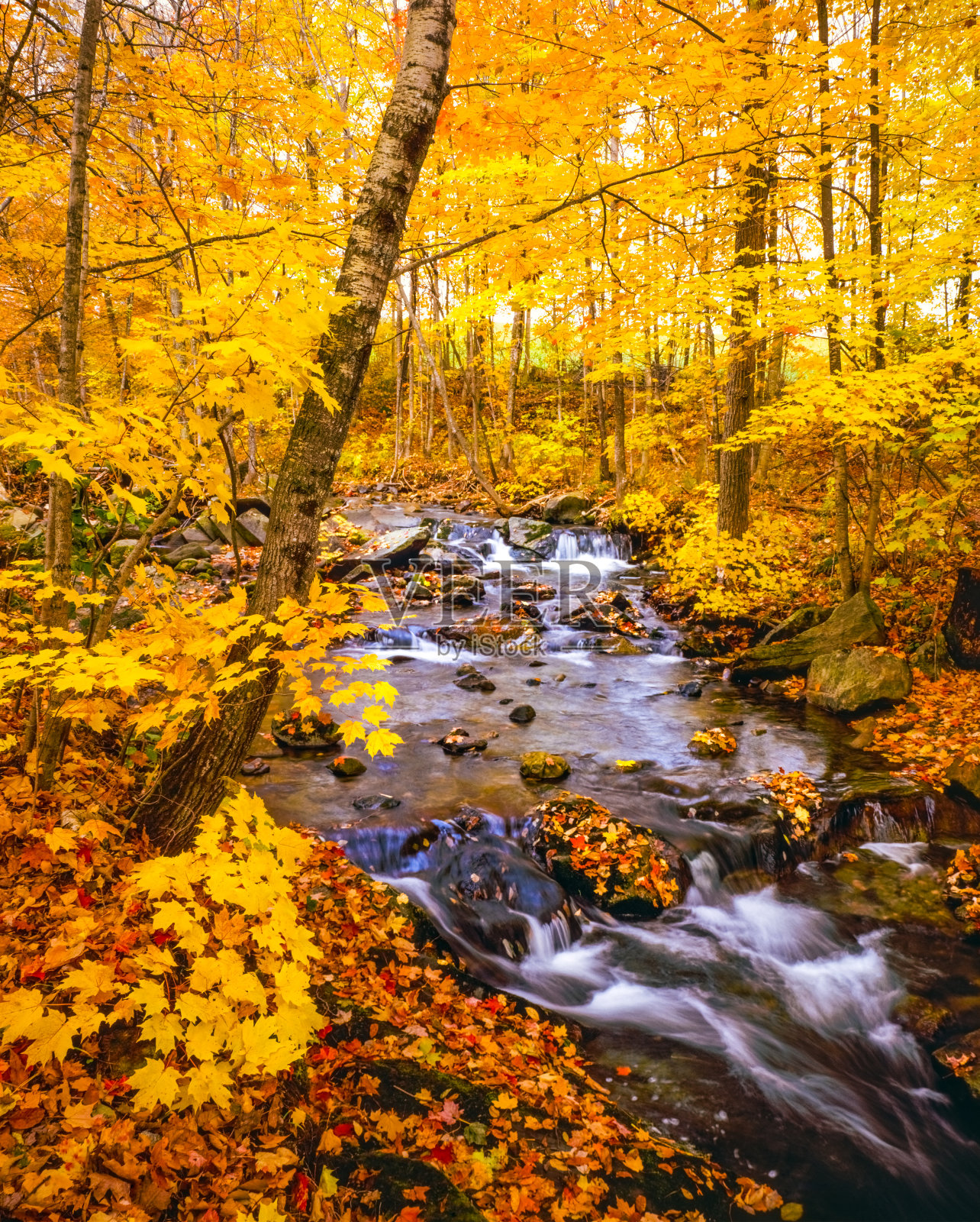 秋色与瀑布溪流，青山绿水，VT照片摄影图片