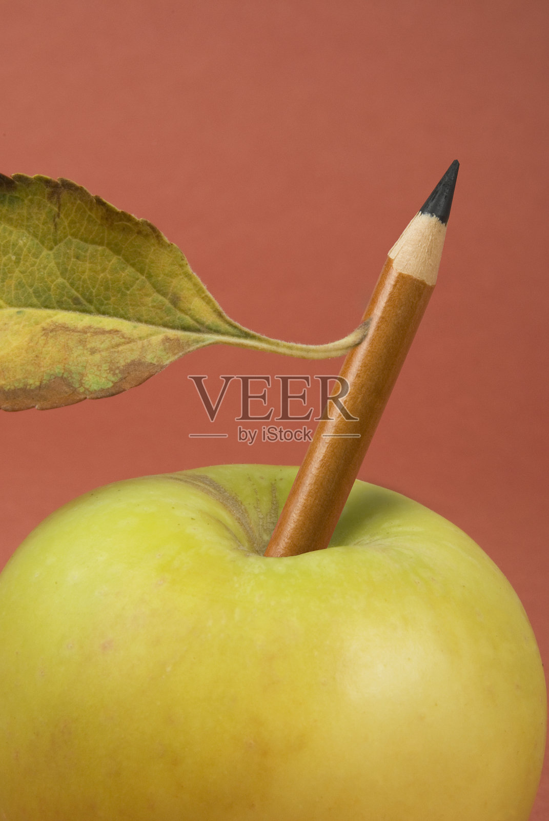 苹果园照片摄影图片