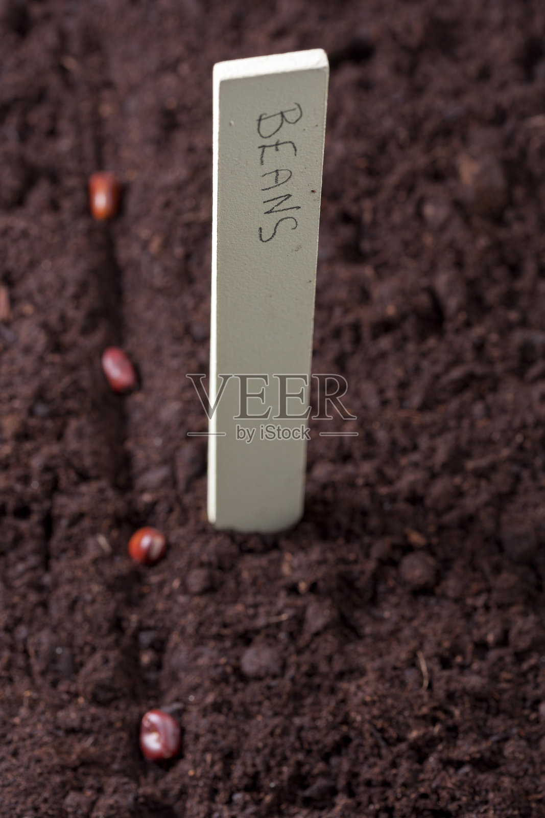 春耕照片摄影图片