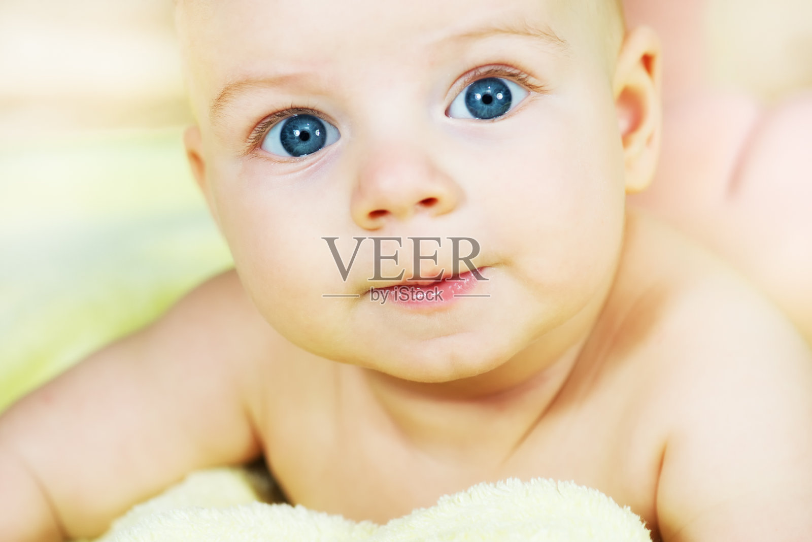 婴儿照片摄影图片